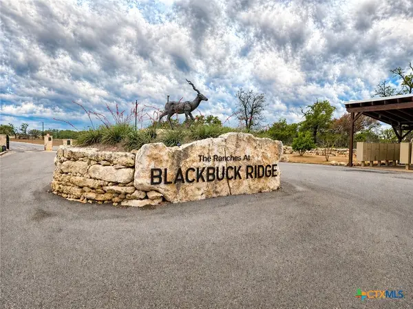 Lot 162 Addax Court, Lampasas, TX 76550