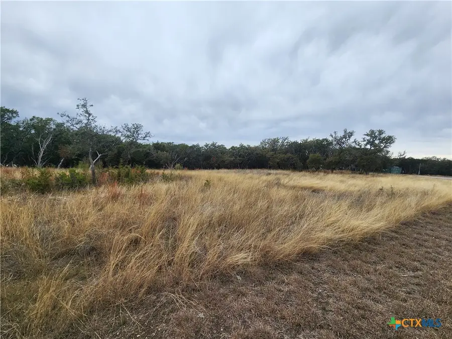 Lot 162 Addax Court, Lampasas, TX 76550 - #3