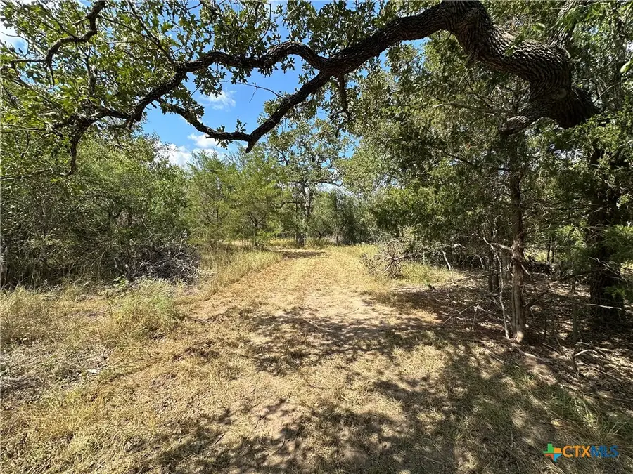 590 Coastal Lane, Luling, TX 78648 - #2