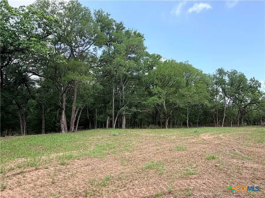 TBD Fm 86, Luling, TX 78648 - #2