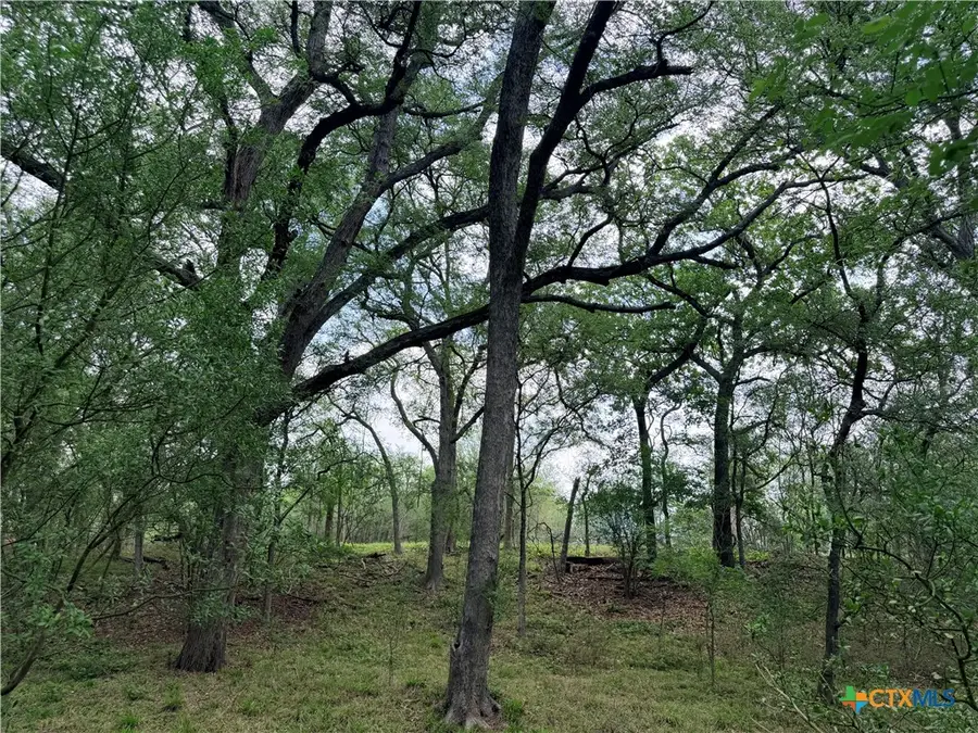 TBD Fm 86, Luling, TX 78648 - #3