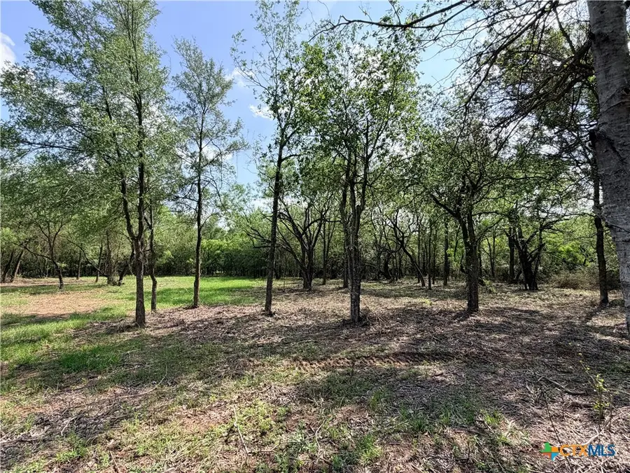 TBD Fm 86, Luling, TX 78648 - #3