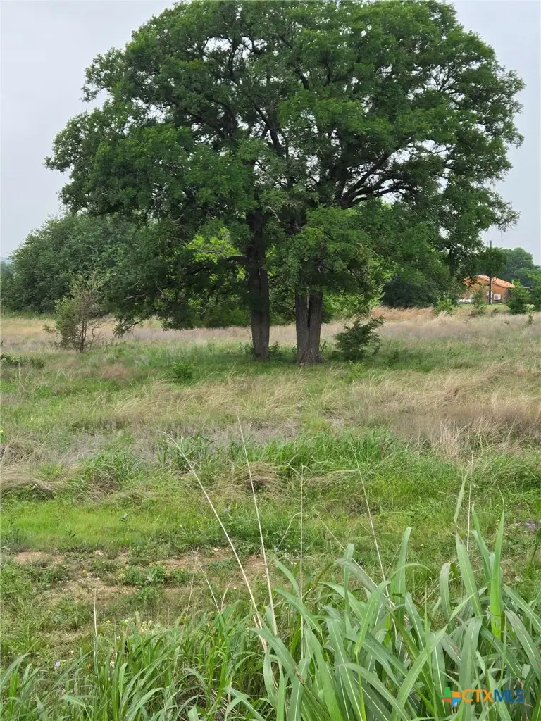 TBD Yosemite Dr. Lot# 202 Drive, Oglesby, TX 76561 - #2