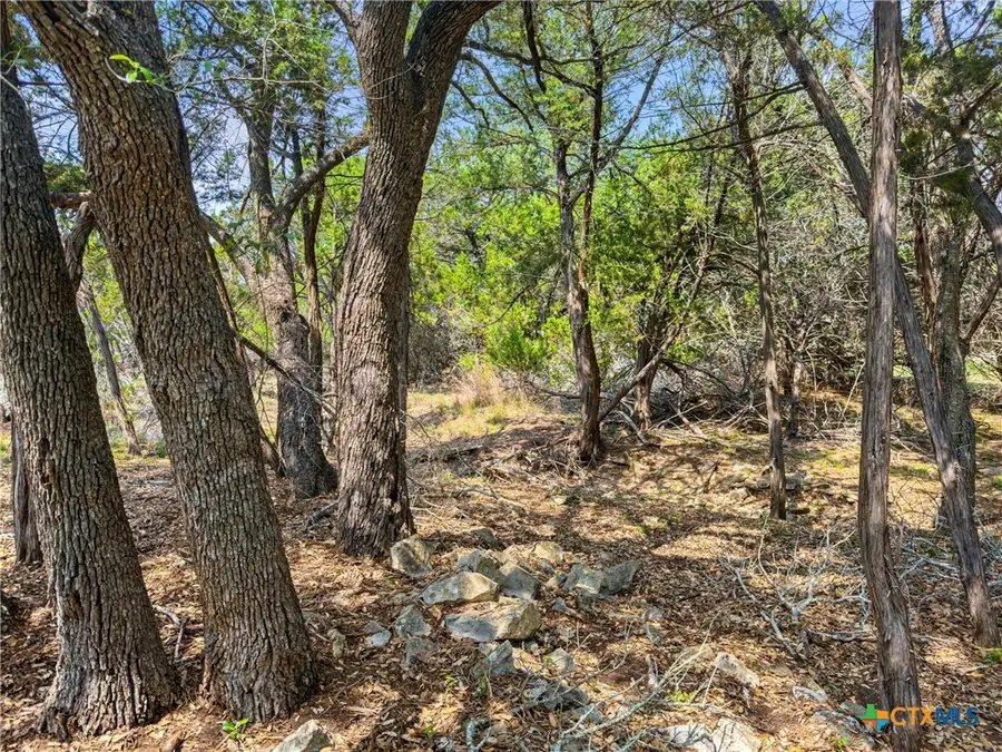 369 Onion Creek Lane, Blanco, TX 78606 - #2