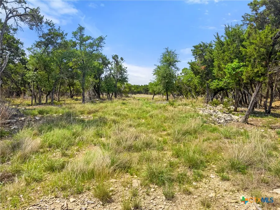 369 Onion Creek Lane, Blanco, TX 78606 - #3