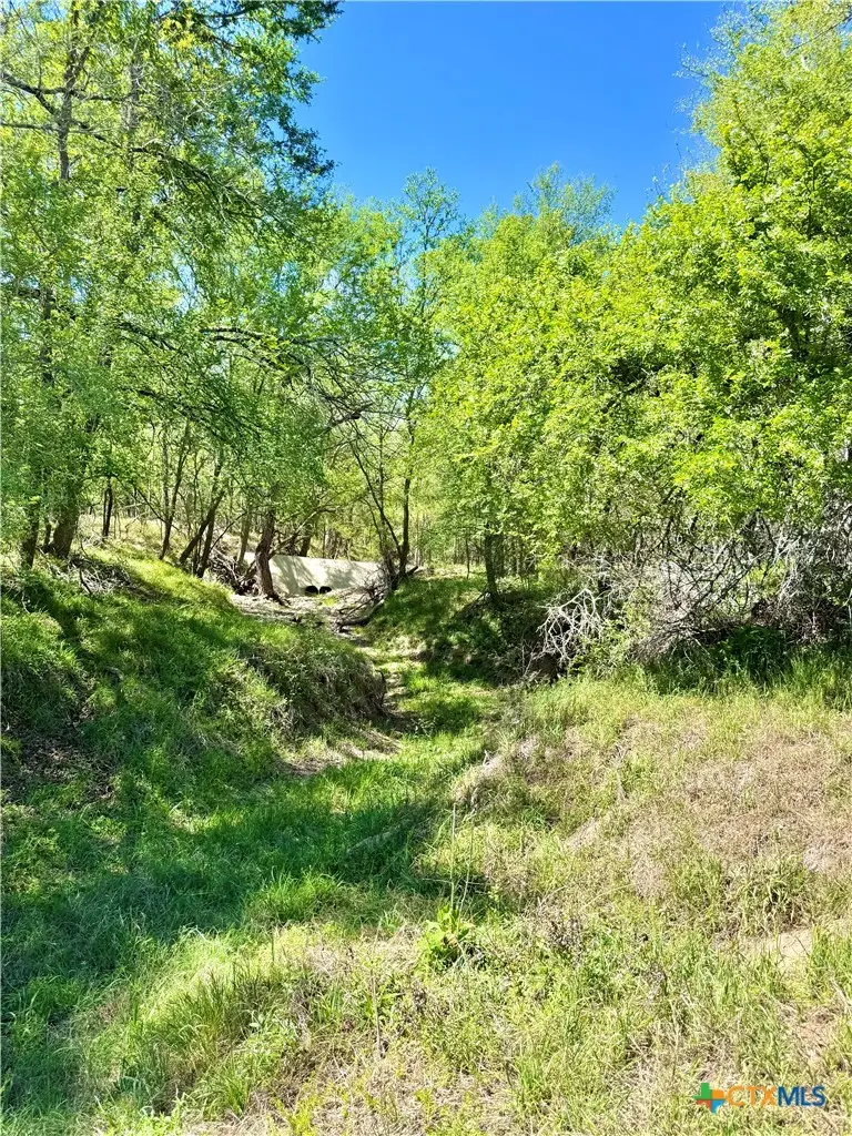 3775 Baker Road, Kingsbury, TX 78638 - #1