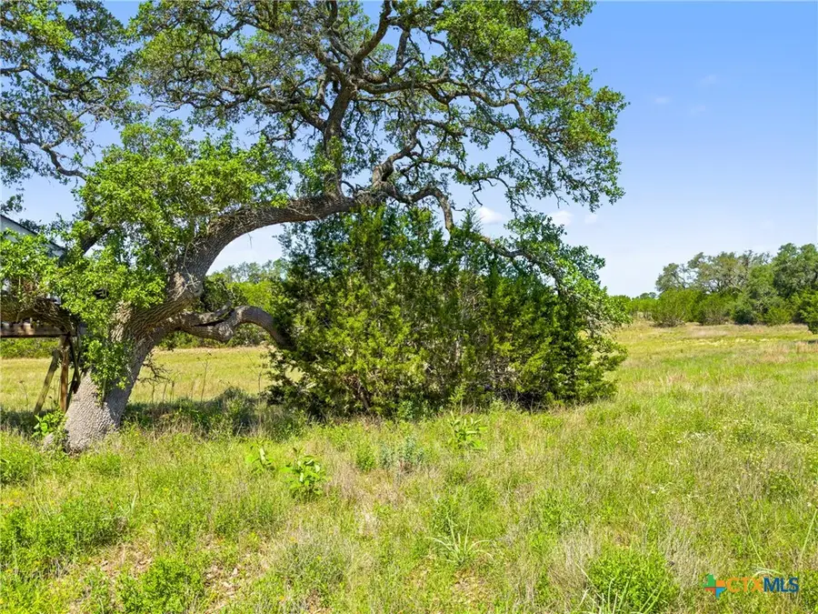 163 N Stallion Estates Drive, Spring Branch, TX 78070 - #2