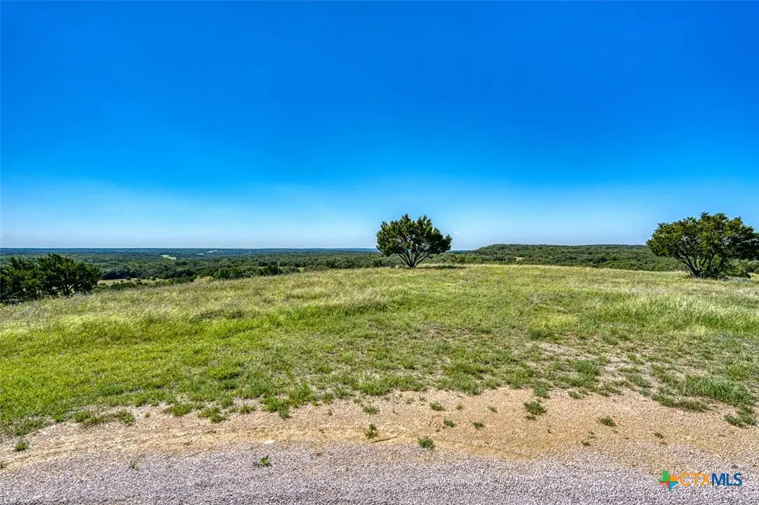 993 Blackbuck Ridge Drive, Lampasas, TX 76550 - #1
