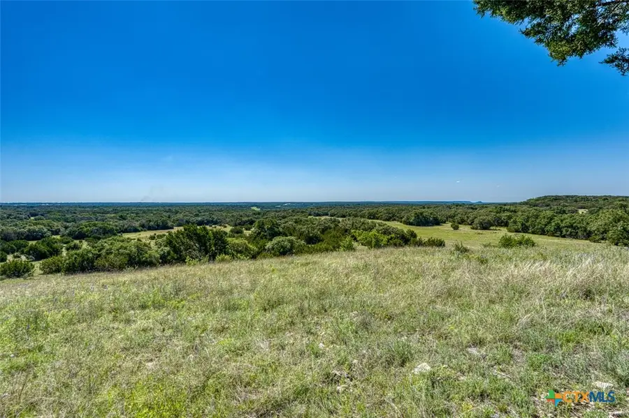 993 Blackbuck Ridge Drive, Lampasas, TX 76550 - #2