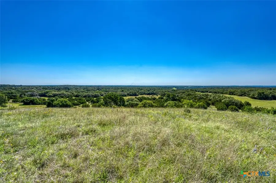 993 Blackbuck Ridge Drive, Lampasas, TX 76550 - #3