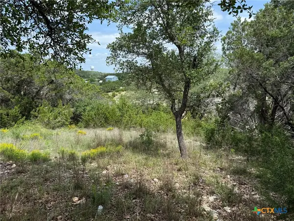 1264 High Hills Drive, Canyon Lake, TX 78133