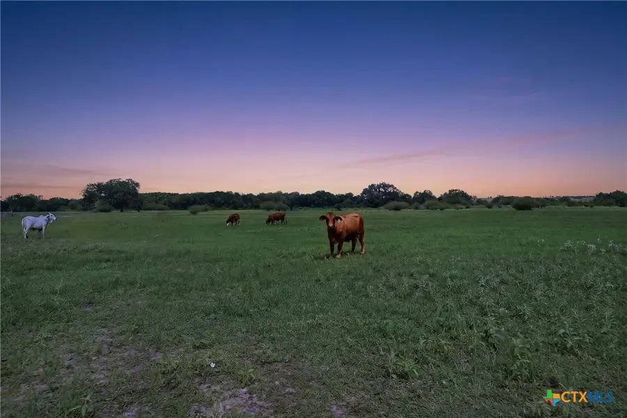 1883 Turkey Bottom Road, Shiner, TX 77984 - #2