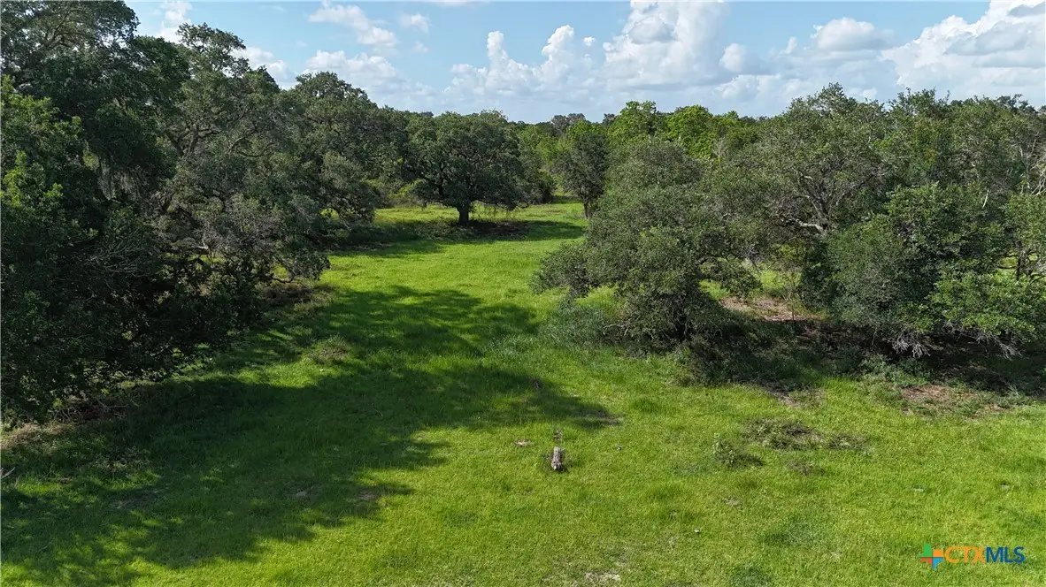 10772 State Highway 111, Edna, TX 77957 - #1