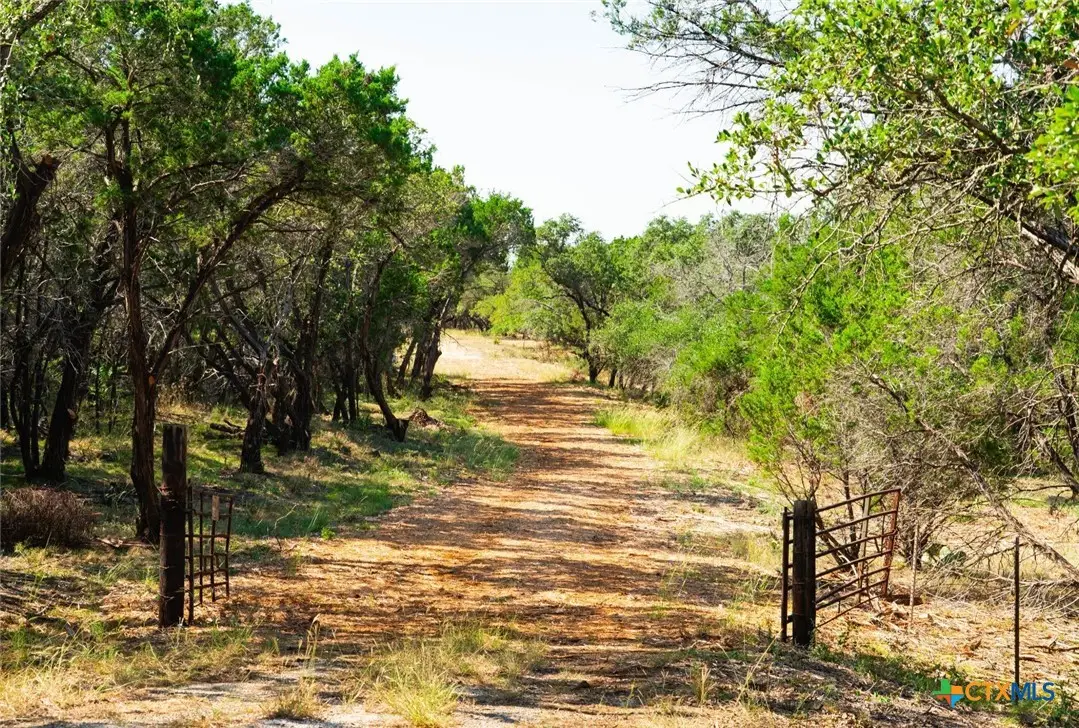0000 Old Ferry Road, Spicewood, TX 78669 - #1