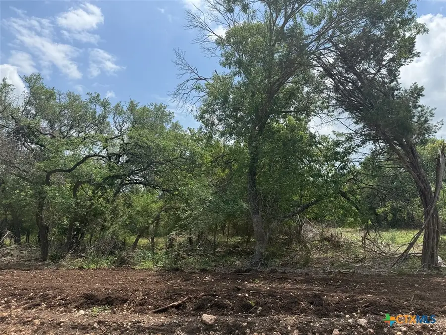 TBD Lot 14 Silverleaf Ridge, Salado, TX 76571 - #2