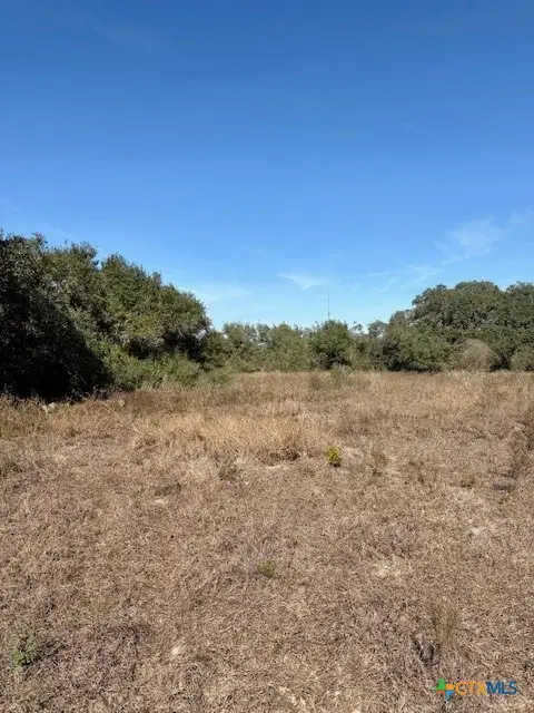 00 Quail Run Trail, Fannin, TX 77960 - #3