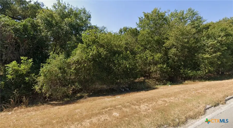 703 Water Street, Gonzales, TX 78629 - #2