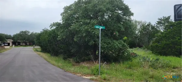 21524 Santa Elena Circle, Lago Vista, TX 78645
