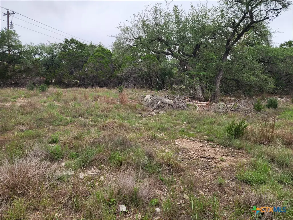 286 Flanders, Fischer, TX 78623 - #1