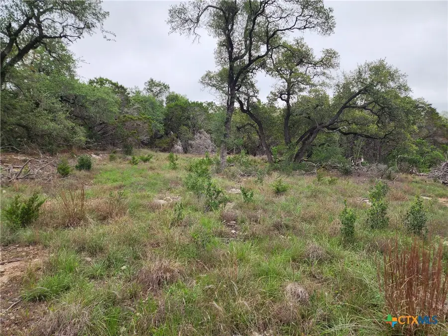 286 Flanders, Fischer, TX 78623 - #2