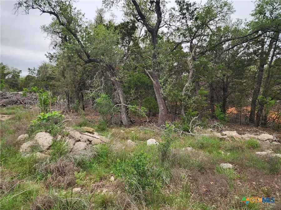 286 Flanders, Fischer, TX 78623 - #3