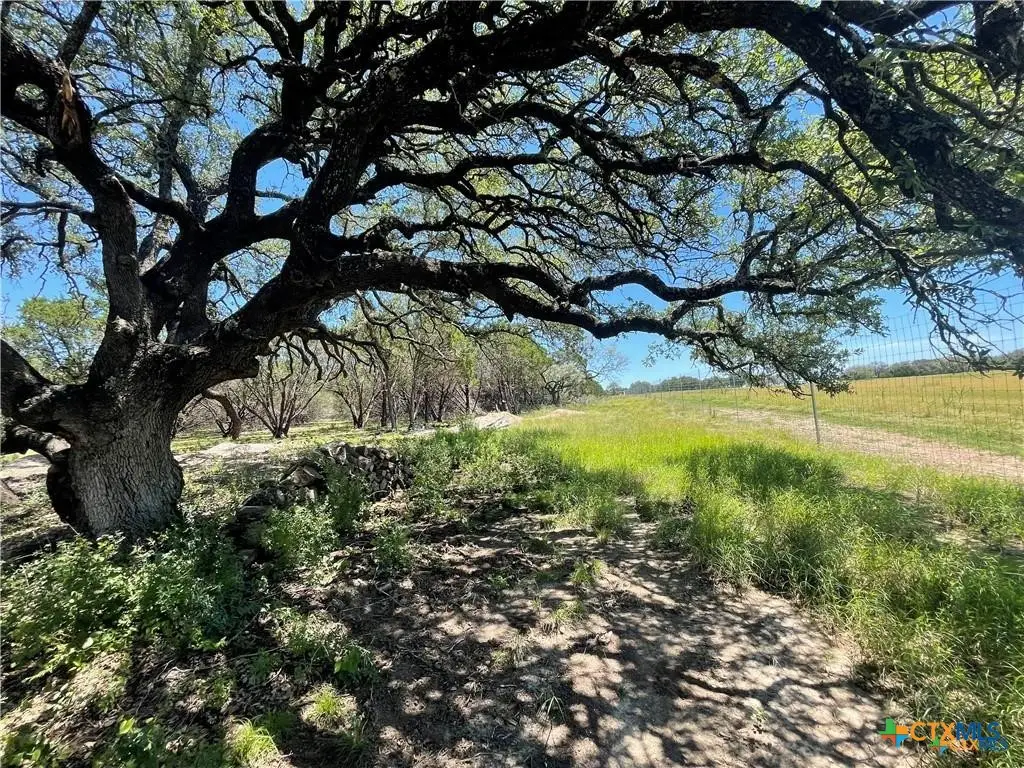 Lot 65 Estate View Circle, Lampasas, TX 76550 - #1
