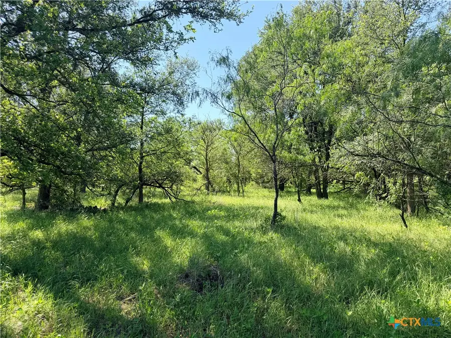 TBD Fm 86, Luling, TX 78648 - #3
