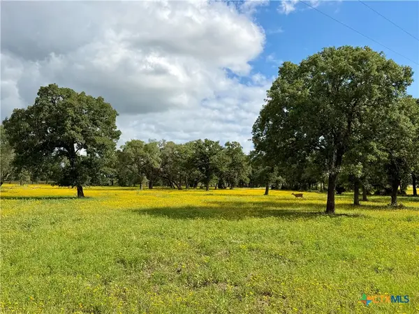 15631 Fm 682 - Tract A, Yoakum, TX 77995
