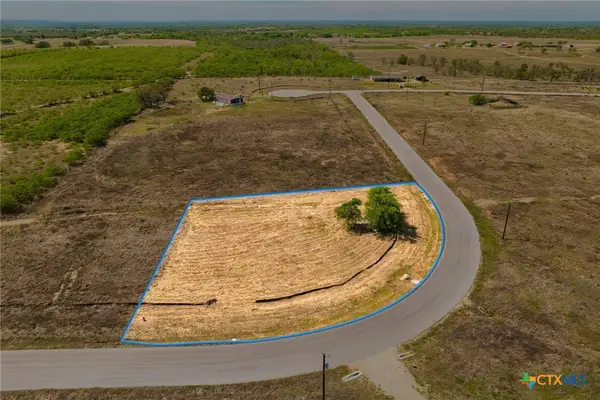 415 Beckham Drive, Dale, TX 78616
