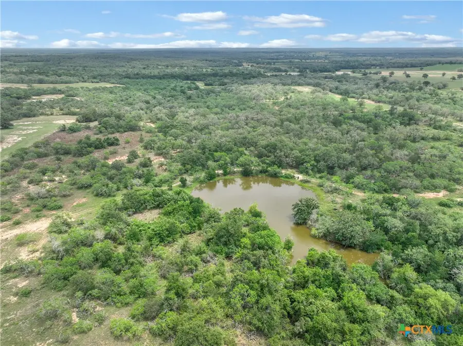52.97AC Cross Road, Seguin, TX 78155 - #2