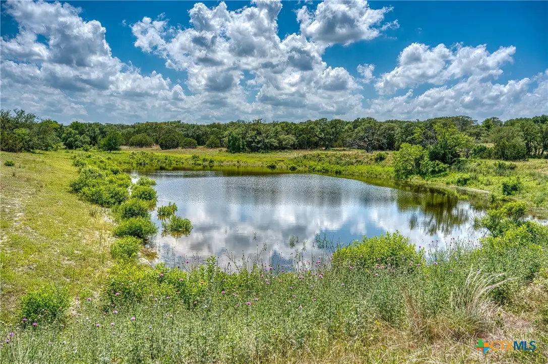 188 Bono Boulevard, Briggs, TX 78608 - #1