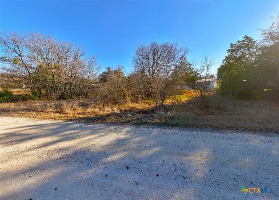 TBD NW Cr 3112, Purdon, TX 76679 - #2