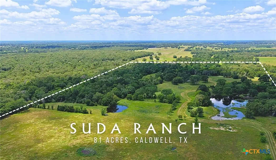 5380 County Road 132 (81.02 Acres), Caldwell, TX 77836 - #1