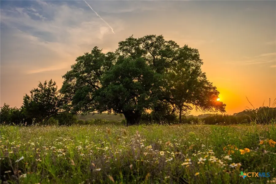 2170 County Road 228, Hico, TX 76457 - #3