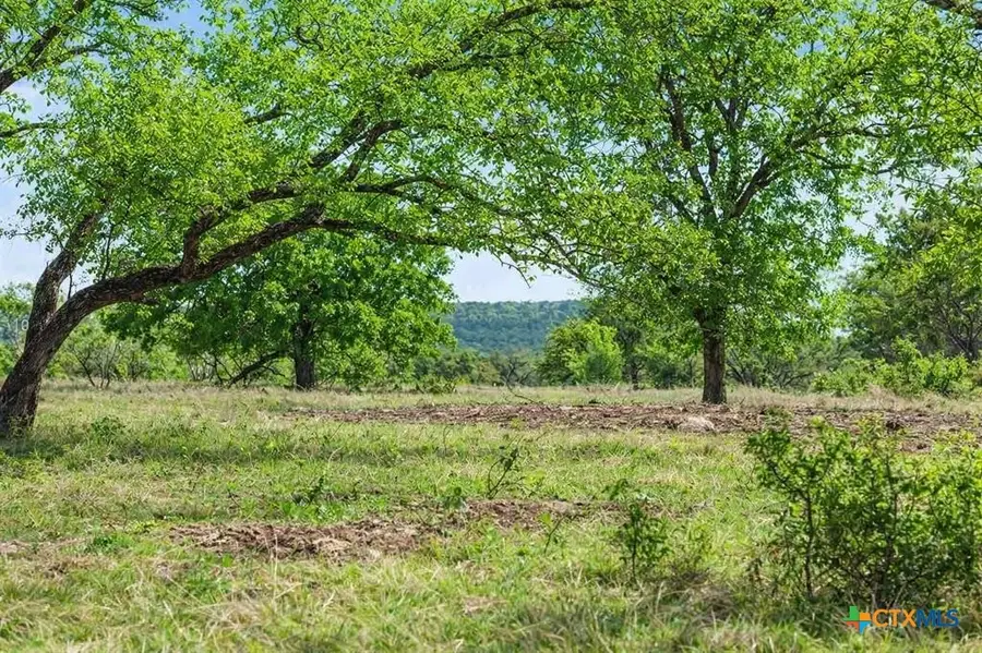 4772-10 County Road 340, Burnet, TX 78611 - #2