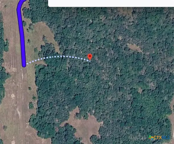 TBD County Road 445, Francitas, TX 77961