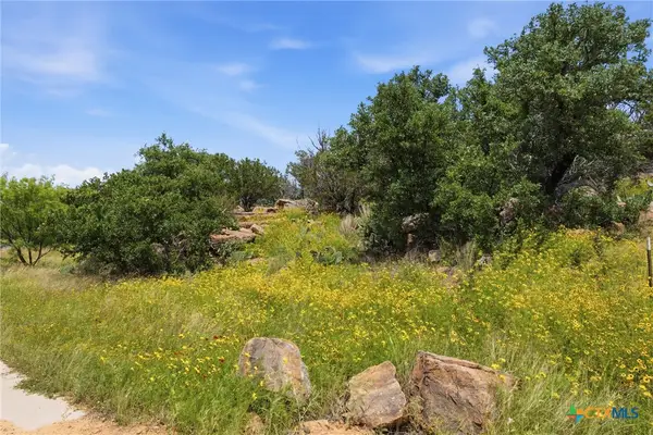 Lot 30 Peninsula Drive, Burnet, TX 78611