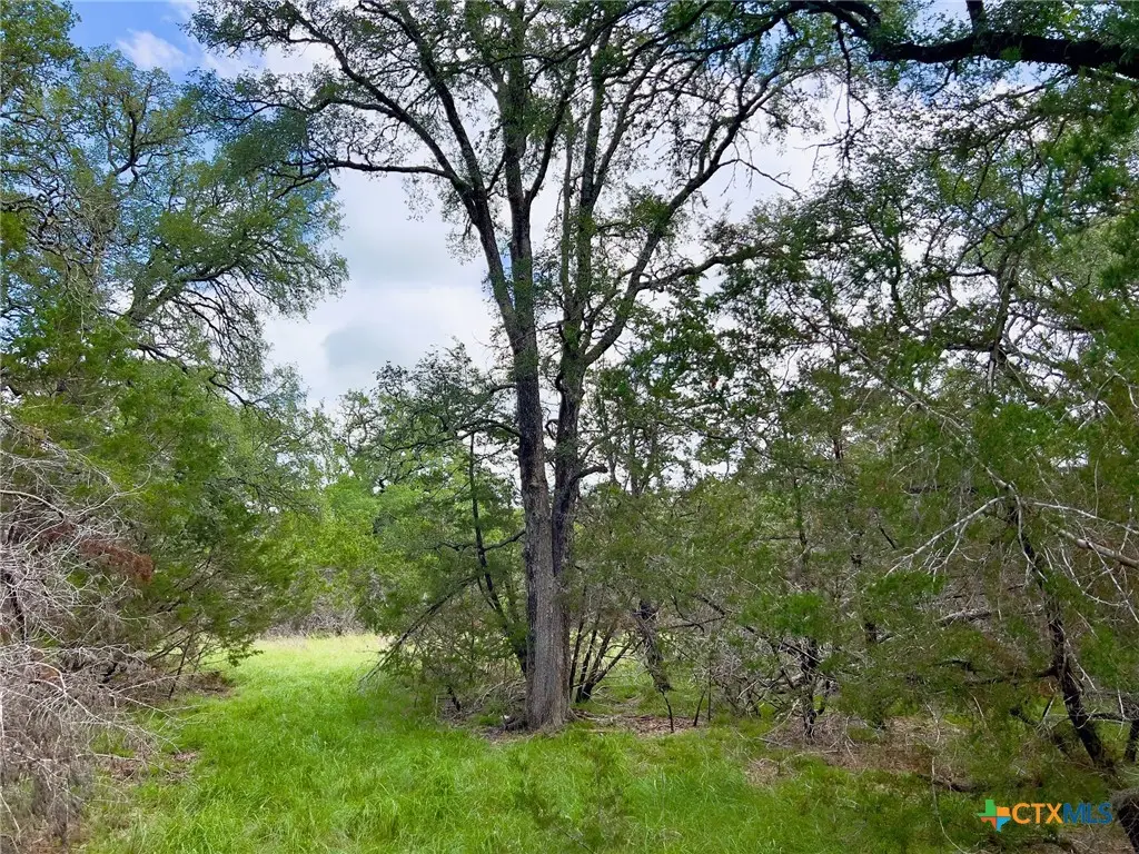 TBD Lot 43A Narrows Road #1, Blanco, TX 78606 - #1