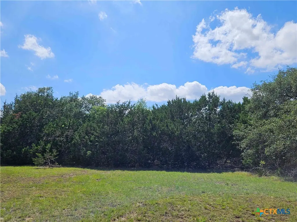 LOT 14 Cielo Springs Drive, Blanco, TX 78606 - #1