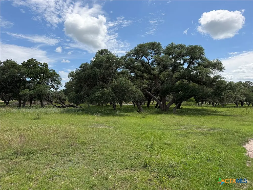 55 Rice Road, Yoakum, TX 77995 - #1