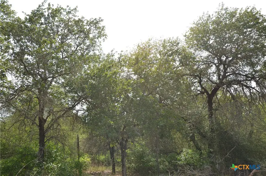 Lot 66 Powder Ridge Ridge, Luling, TX 78648 - #3