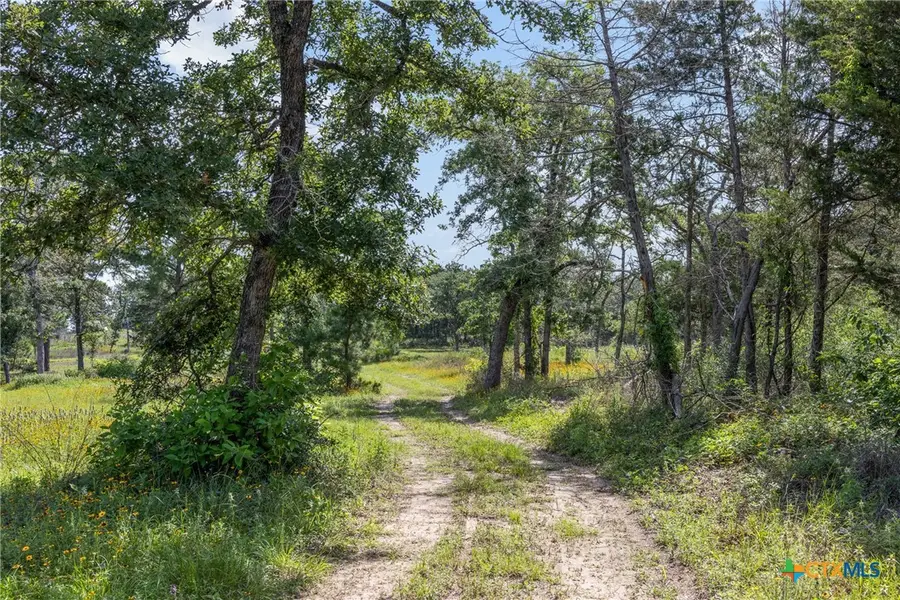 305 Cistern Road, Rosanky, TX 78953 - #2