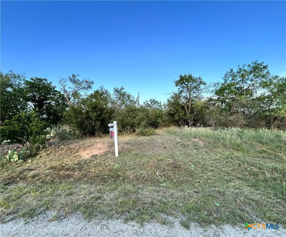 0 Cactus Trail, Kingsland, TX 78639 - #1