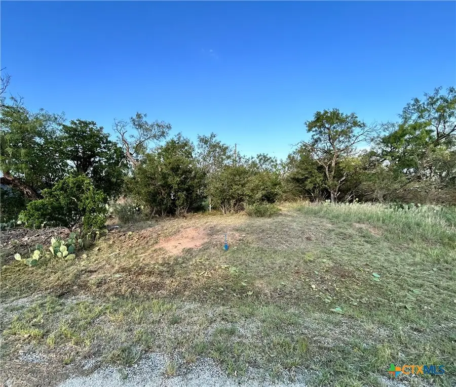 0 Cactus Trail, Kingsland, TX 78639 - #2