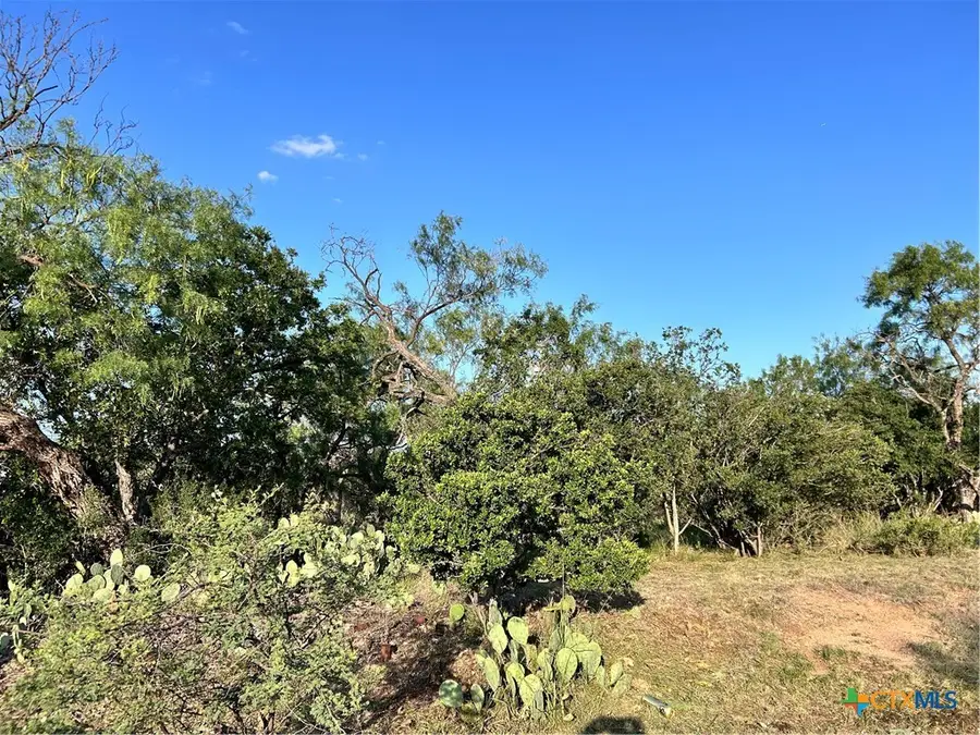 0 Cactus Trail, Kingsland, TX 78639 - #3