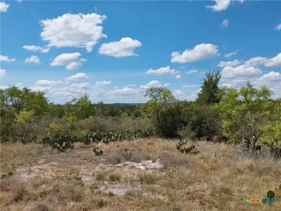 LOT 201 Sundance View Point, Spicewood, TX 78669 - #2
