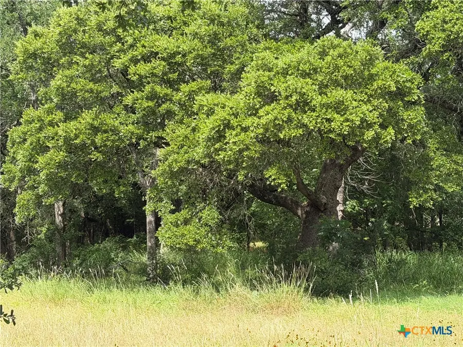742 Mckay Lane, Salado, TX 76571 - #3