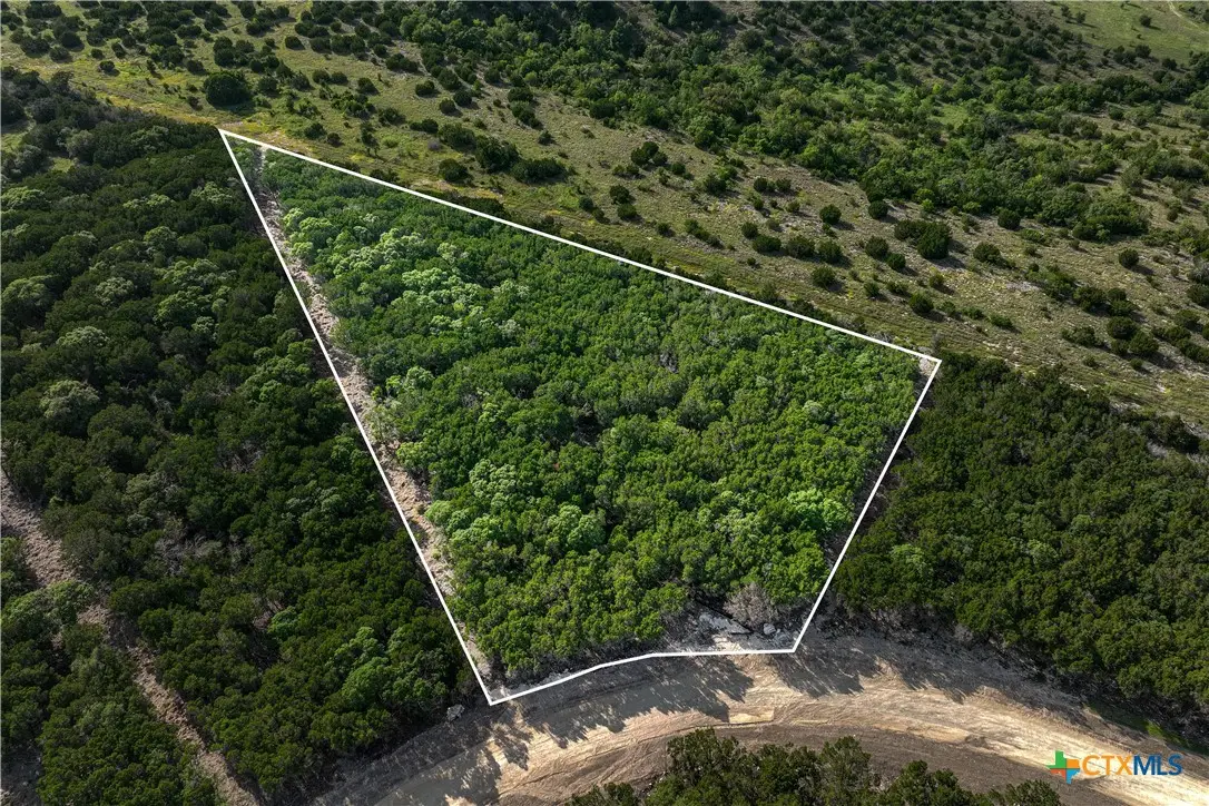 TBD Lot 20 Hank Williams Way, Burnet, TX 78605 - #1