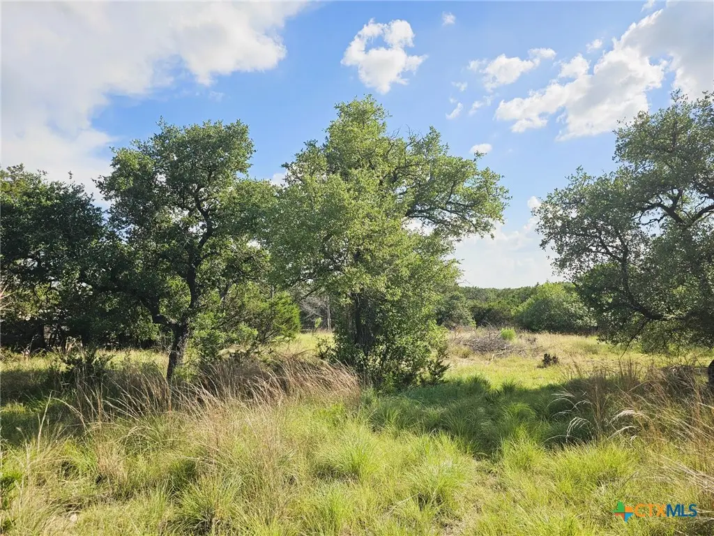 100 Reavis Drive Drive, Kempner, TX 76539 - #1