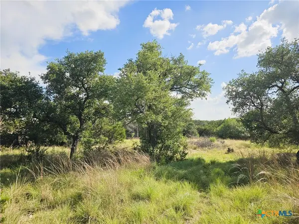 100 Reavis Drive Drive, Kempner, TX 76539